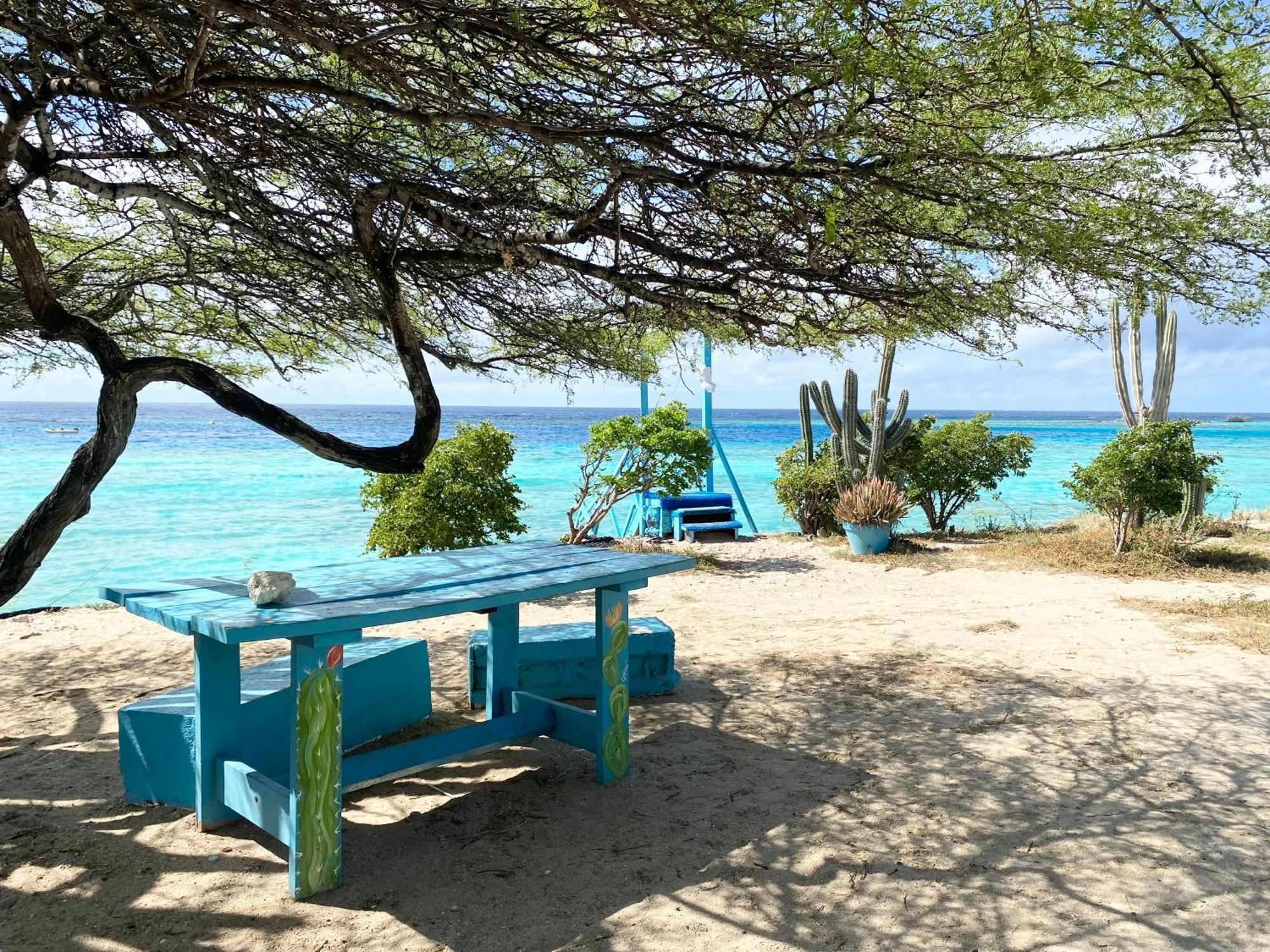 Casa Azure Aruba Βίλα Παλμ Μπιτς Εξωτερικό φωτογραφία